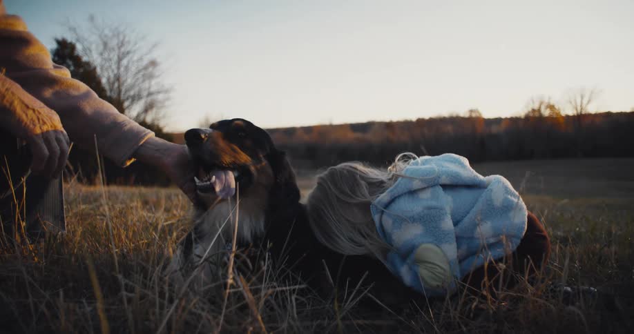 A child and an adult petting a dog in a sundrenched grassy field during late afternoon