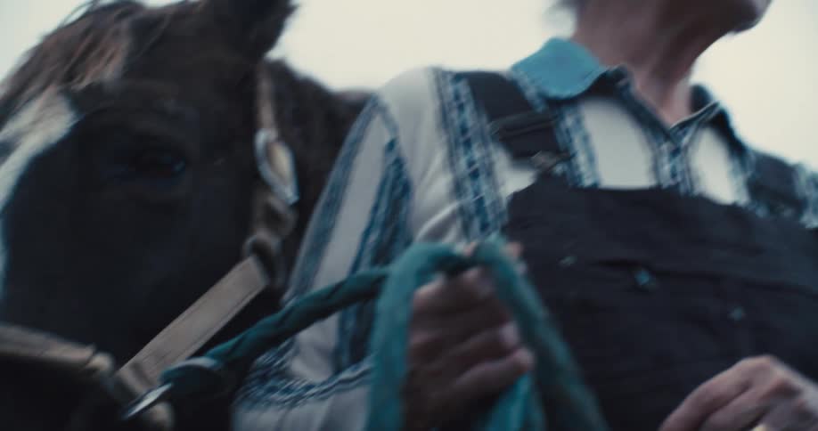 A woman with white hair and a dark blue shirt with suspenders is standing next to a brown and white horse holding a braided blue lead rope that is connected to the horses halter