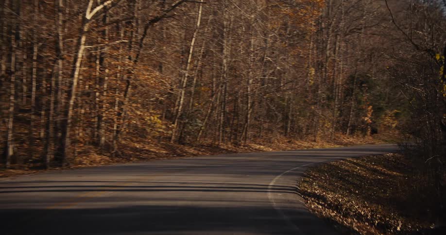 A rural road winds through a forest of bare trees in fall