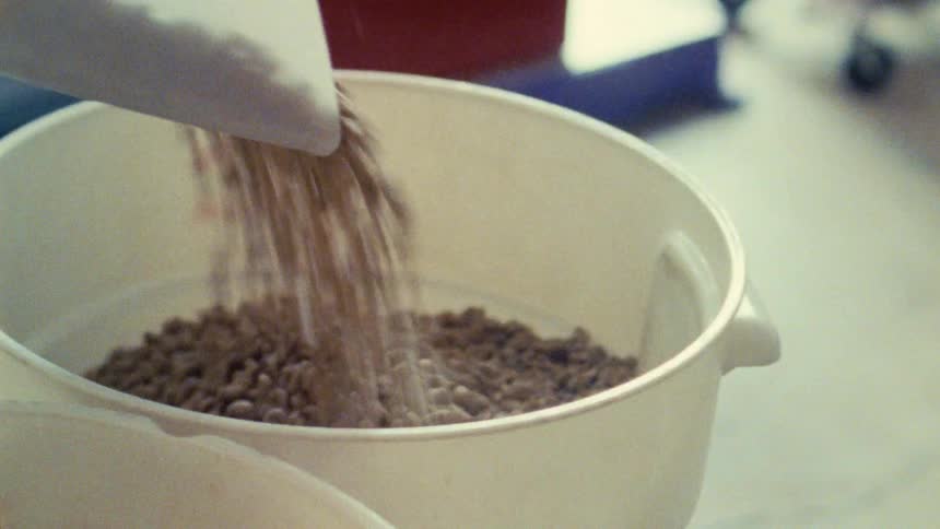 A person pours coffee beans from one container into a bucket