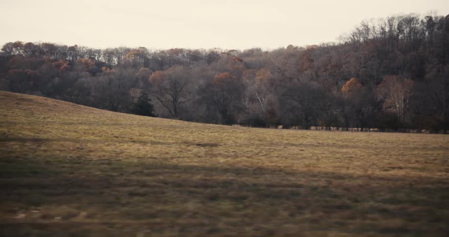 Traveling in the rural countryside passing fields and trees