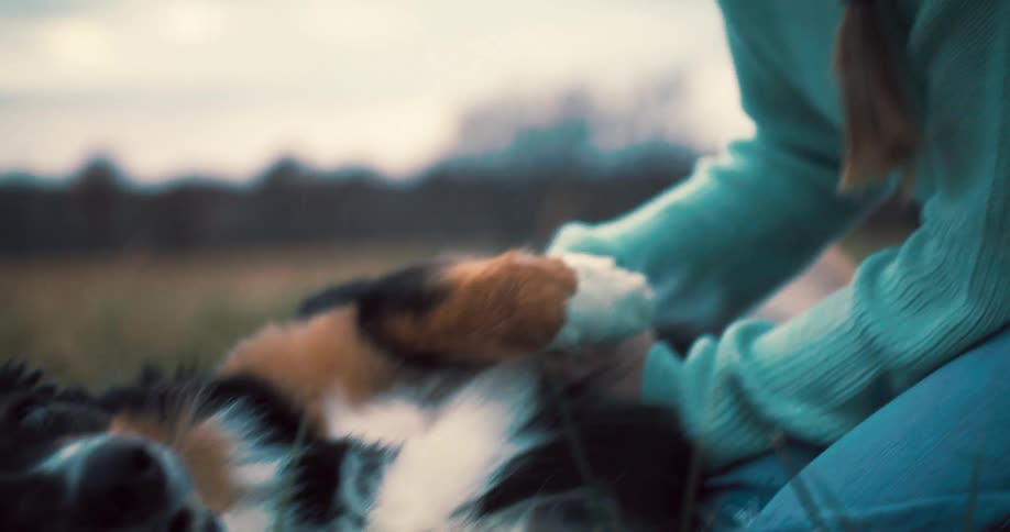 A young girl gently pets her dog lying on the grass