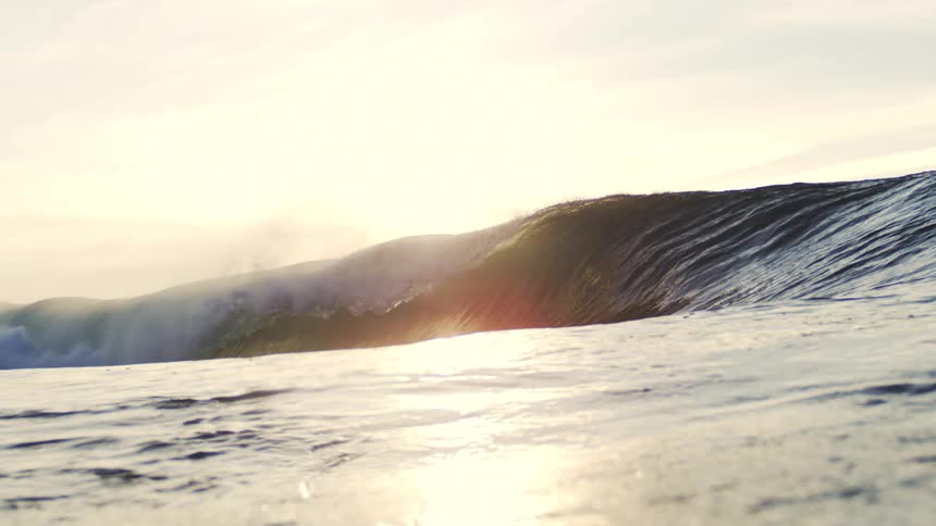 A large ocean wave rises in the sea at sunset
