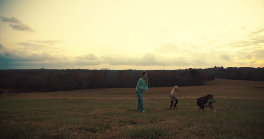 Two kids play with a dog in a grassy field at sunset