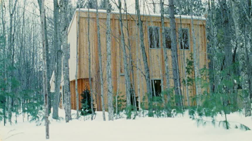 A house amongst some trees