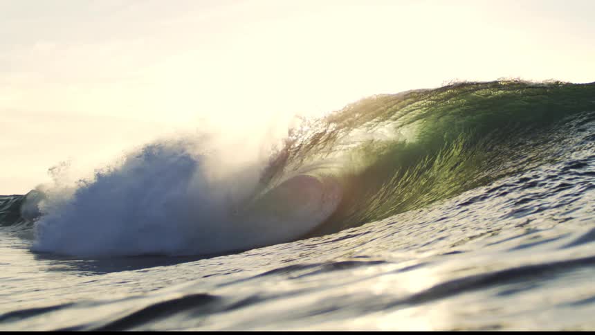 A large wave with sunlight reflecting on the water as the wave crests and crashes creating white foam and spray