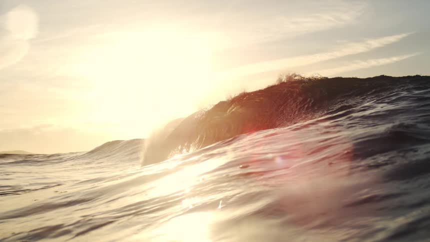 Wave illuminated by the low sun on the horizon