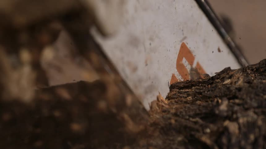 A chainsaw cuts through dark wood sending splinters and sawdust flying