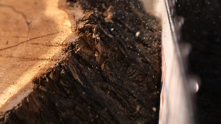 Chainsaw cutting through a tree trunk with particles in the air