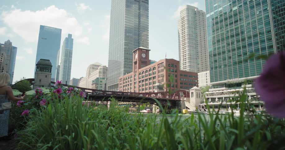 Metropolitan cityscape with skyscrapers and a river flowing under a bridge