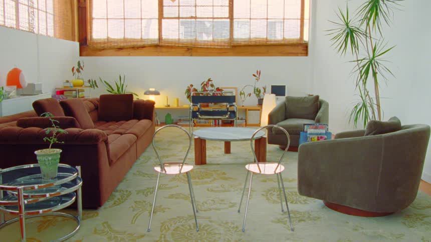 Cozy modern living room with sofas and plants