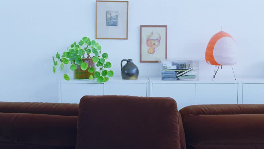 Modern living room with a stylish shelf and decor