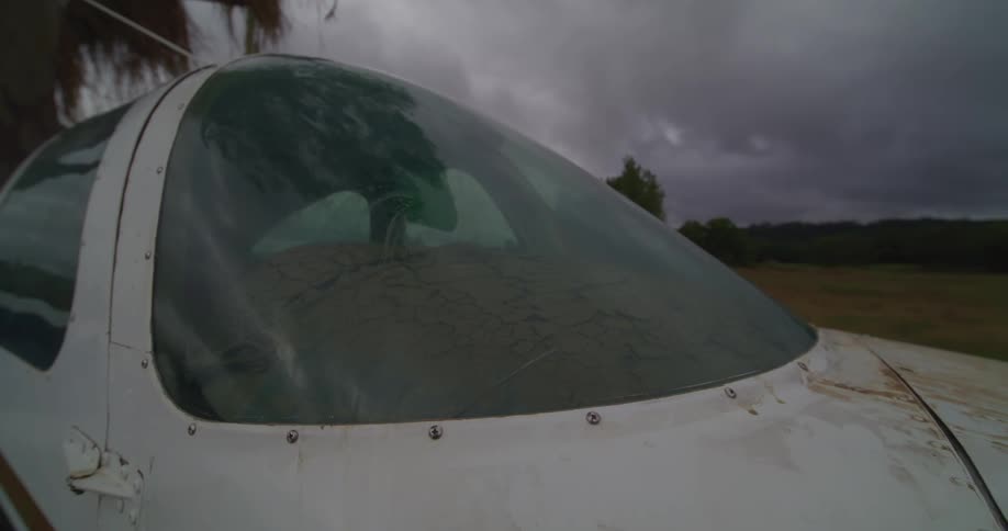 Small plane stands in a field bordering the woods on an overcast summer day