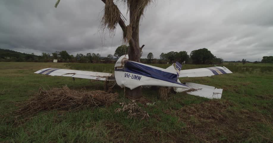 A small plane crashed in a field its wreckage wrapped around a tree