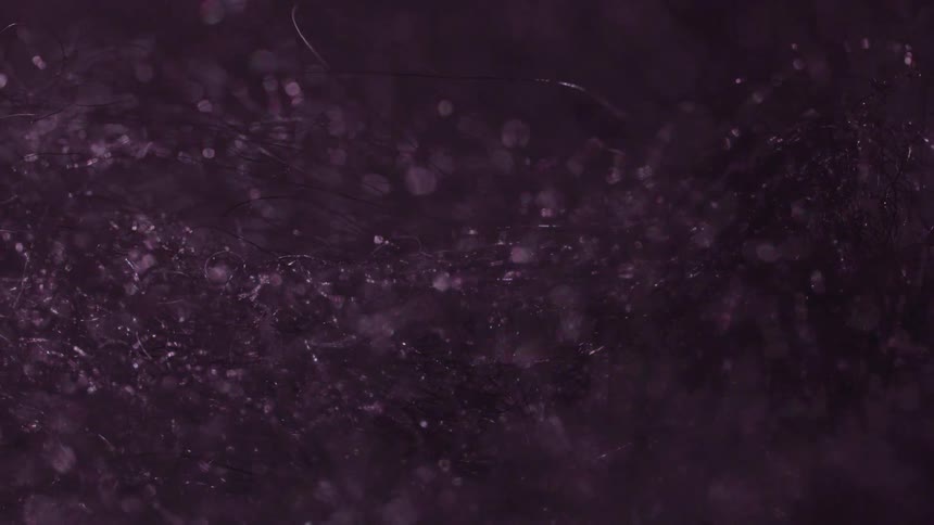 Purple filaments glowing