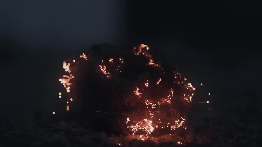 Sparks consuming a bush in fire