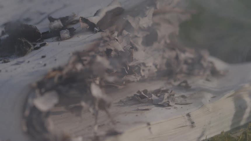 A close view of a burning book shows the pages crumbling and turning into ash