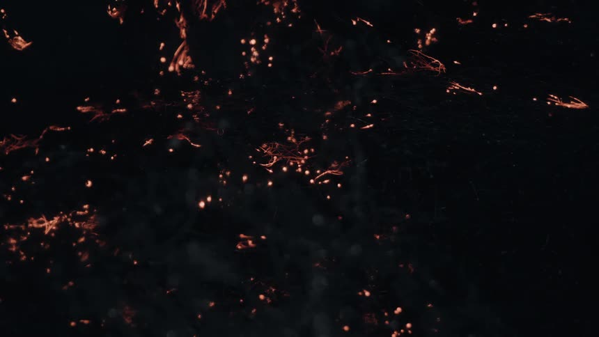 Glowing embers scatter through dark tangled debris