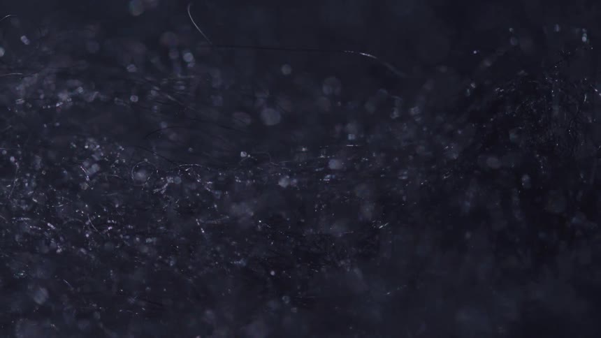 A close view of dark tangled hair like bristles show small particles and specks of light falling through it