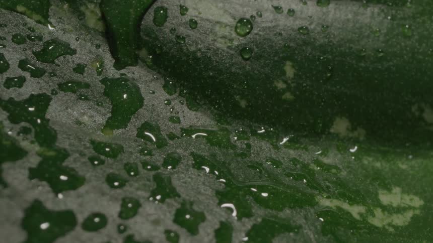 Light flashes on the vegetable
