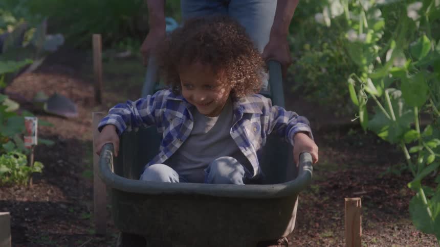 A male farmer pushes his daughter in a wheelbarrow in a garden outdoors during daytime