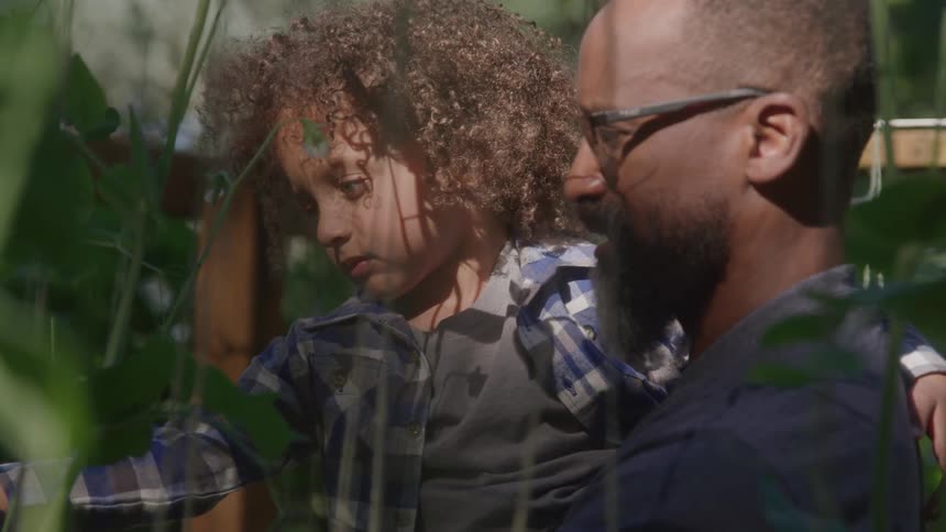 A man with dark skin a beard and glasses is holding a young boy with light brown curly hair as they look at plants in a garden