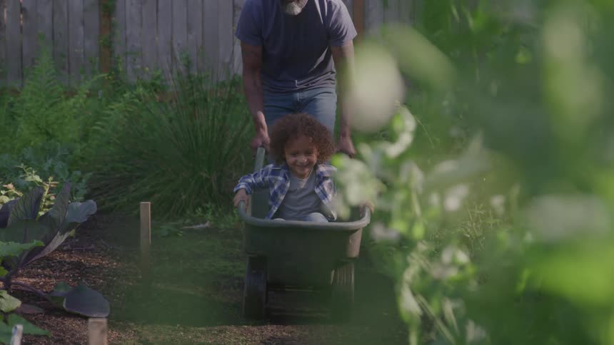 Son rides in a wheelbarrow as father pushes