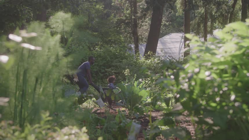 Father and son playing together in a vegetable garden surrounded by vegetation