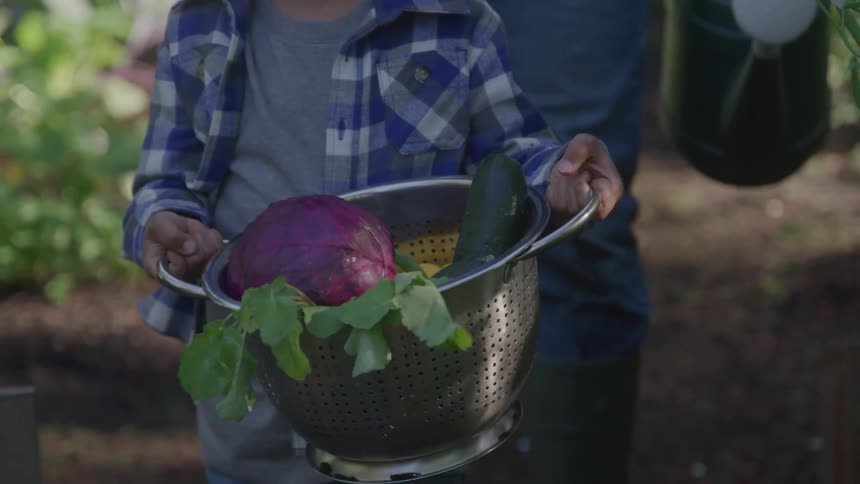 Child carrying a basket with freshly harvested vegetables