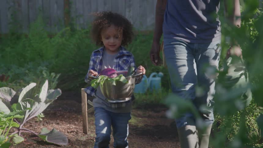 A man and a child walk through a garden with the child carrying a colander filled with freshly picked vegetables and the farmer carrying a white watering can