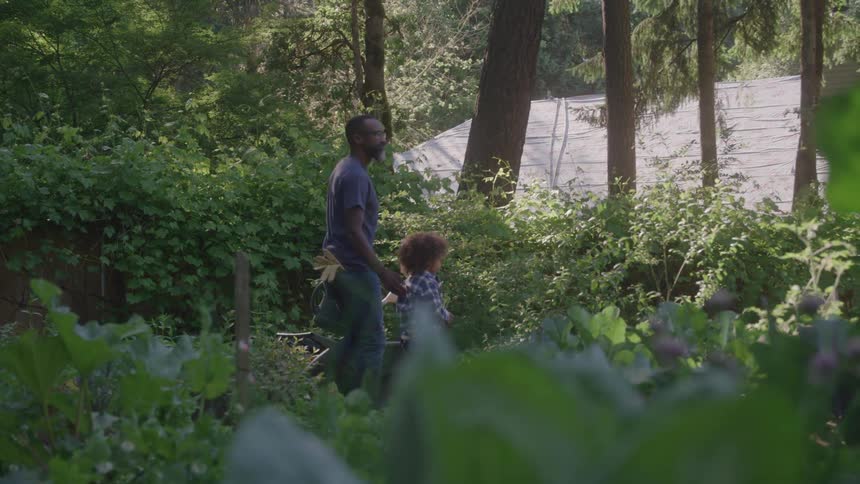 A father and daughter walk through their wooded backyard