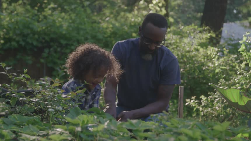 A man and a child with curly hair are seen from the waist up in a garden while they both bend down to tend to the plants