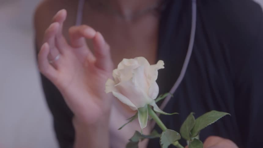 Close up of a young black woman admiring the petals of a rose flower in her hands