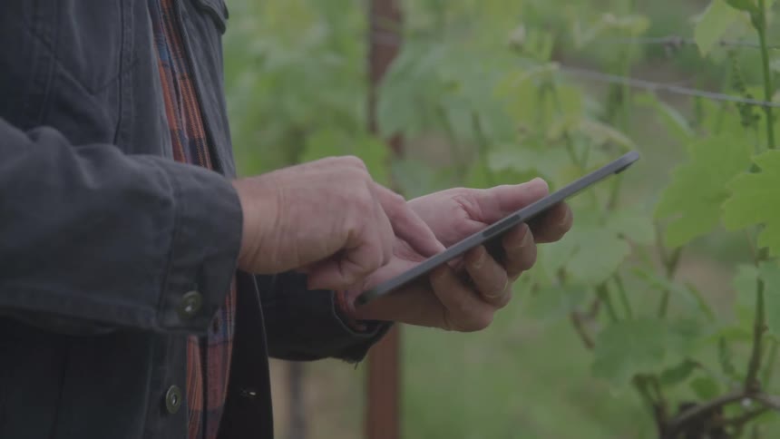 An older man in a red and black plaid shirt and dark blue jacket is standing in front of a fence with heavy vegetation tapping on a thin tablet hes holding in his hands