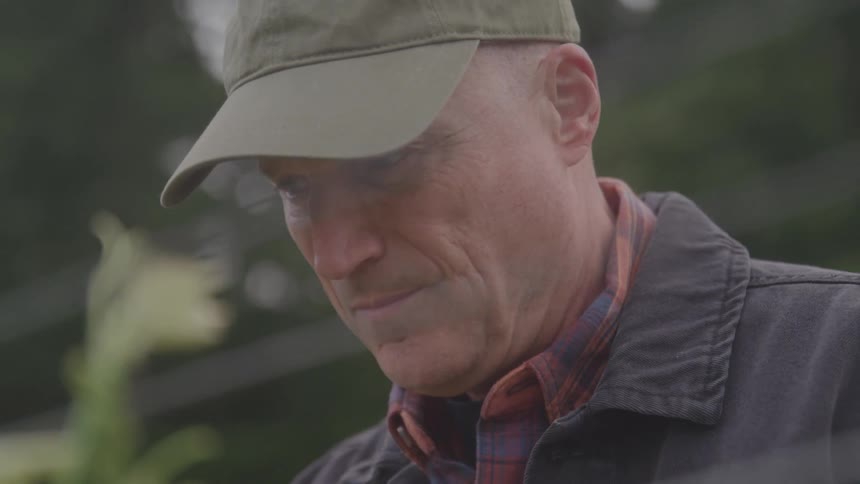 A man stands outside and looks at plants