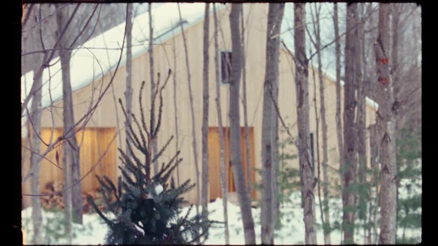 A light colored wood cabin with a slanted roof and a window is visible through a thick covering of bare trees and a few small evergreens in a snowy winter landscape