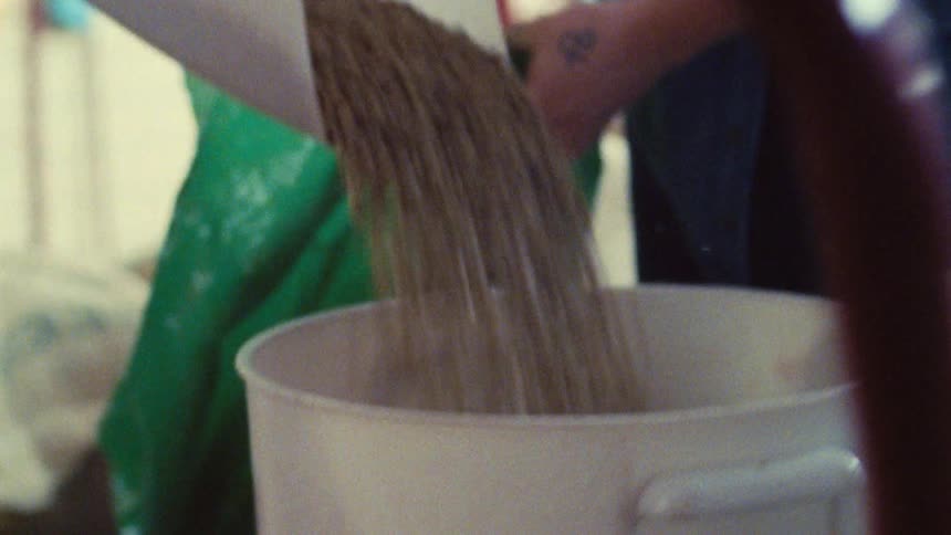 A person wearing a dark blue shirt is pouring a steady stream of light brown grains from a large green bag into a white plastic tub