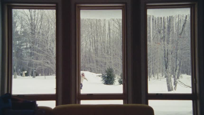 A child drags a snowboard with a dog on top through the snow outdoors surrounded by trees as seen through a building window at midday