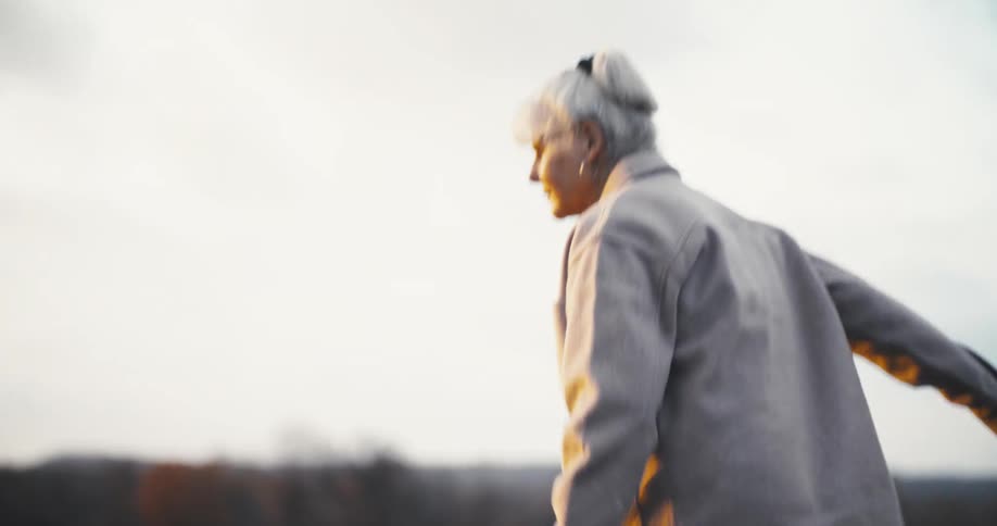 An elderly woman taking a toy ball from a dogs mouth and then throwing it for the dog to fetch