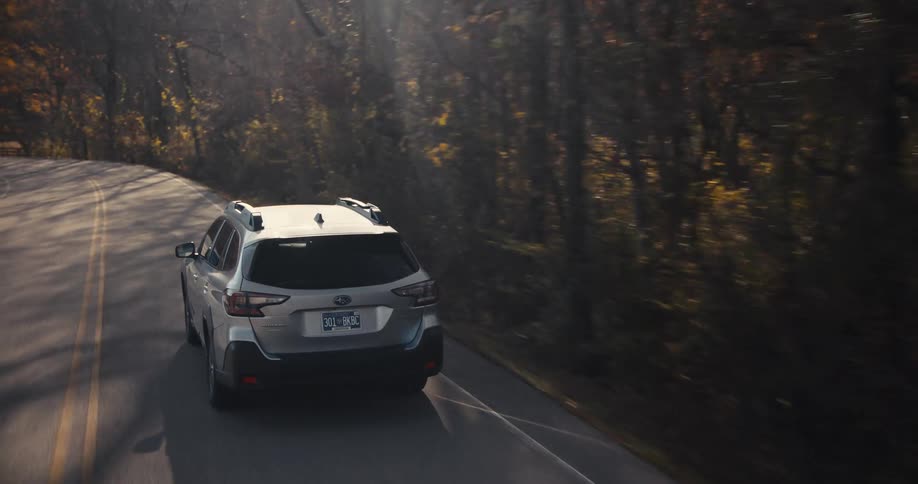 Silver car drives along a treelined road