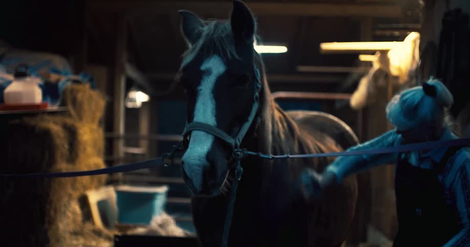 A middle aged woman brushes and cleans a horse in a stable