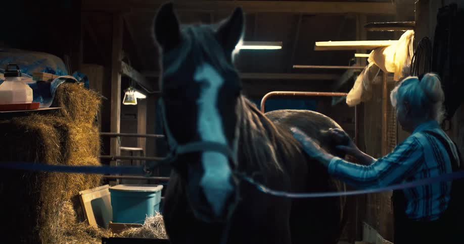 A person gently grooms a horse inside a dimly lit barn