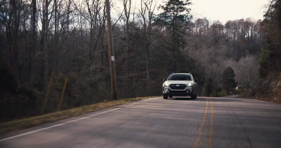 Motor vehicle travels along a highway passing through a forest containing leafless trees