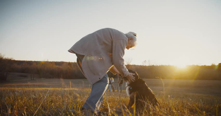 An elderly person pets a dog in a sunlit field at sunset