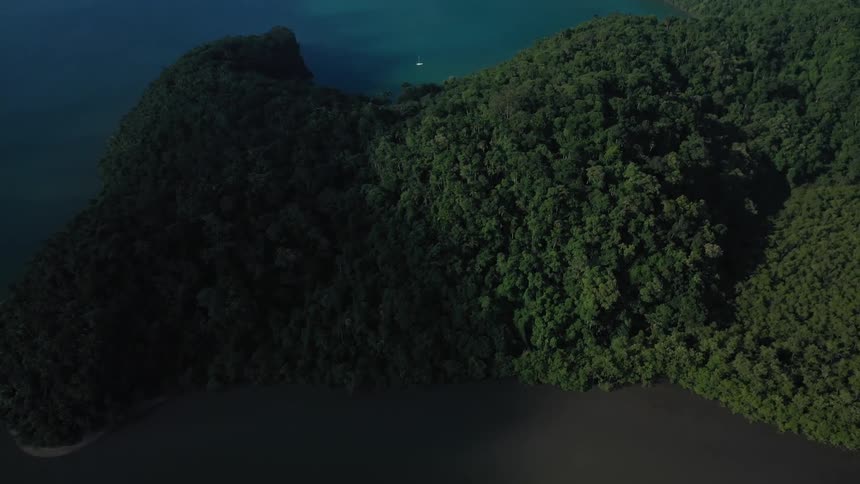 Aerial view of green coast meeting turquoise sea