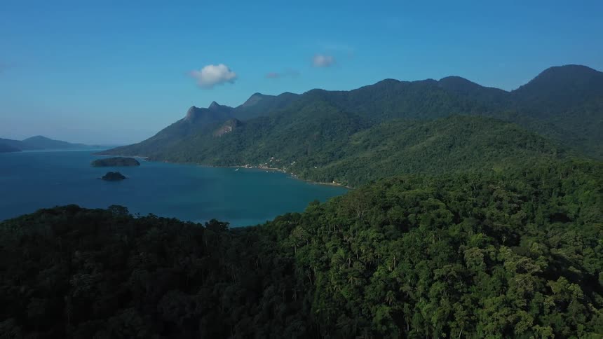 The islands are covered in dense trees