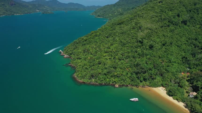 Aerial view of a bay along a lush forested coastline