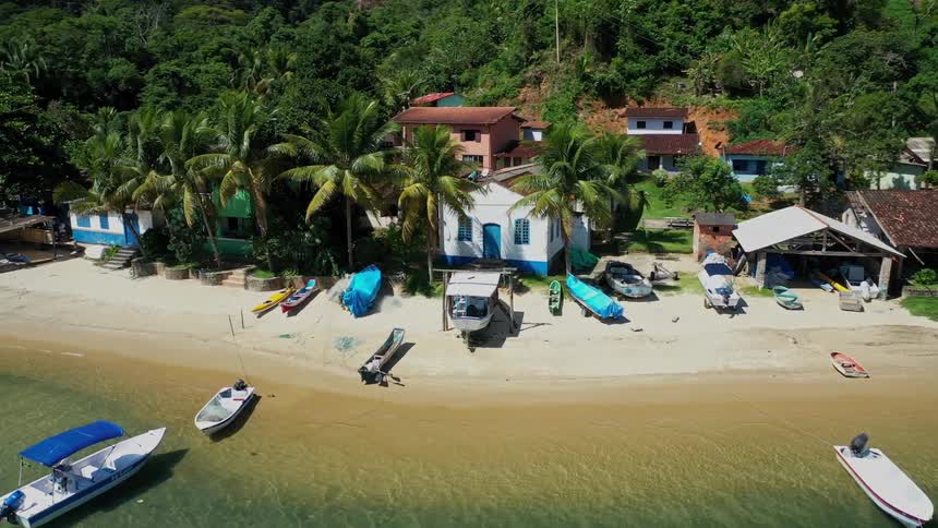 Boats on sandy beach with trees and houses