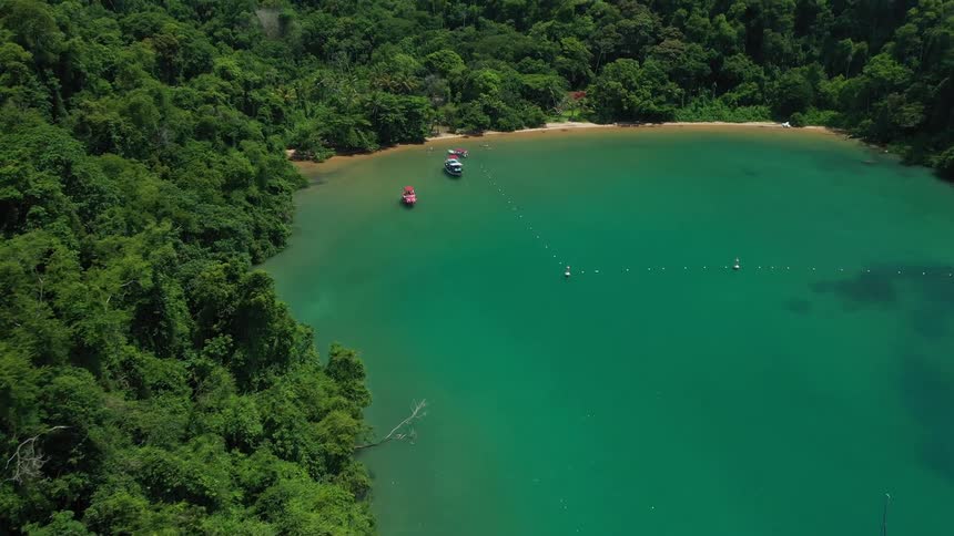 Boats are anchored by the rain forest