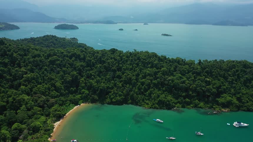 Aerial view of green coastal forest with boats near beach